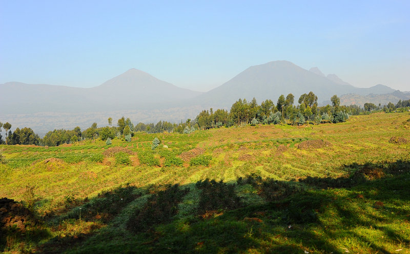 on the road to the Bisoke volcano on the right