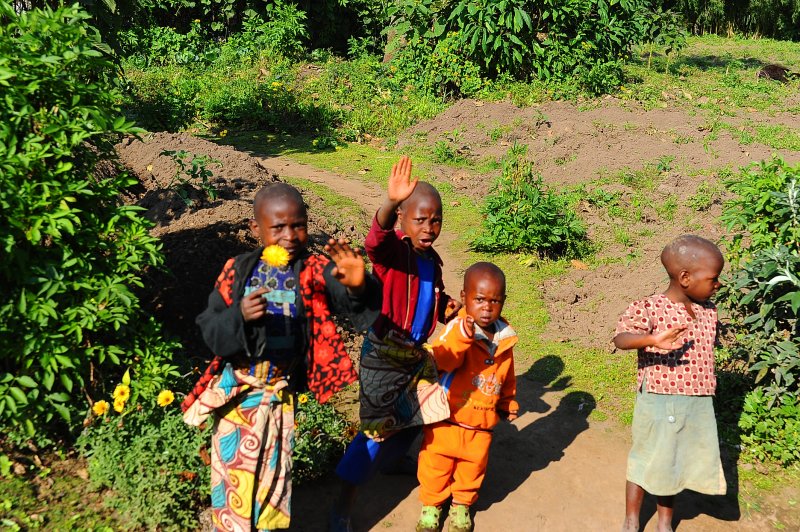 a child with flower greeting us