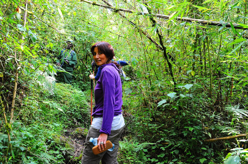 pass through the bamboo forest