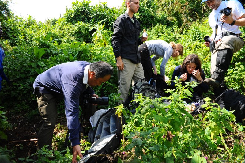 prepare camera before encounter the gorilla