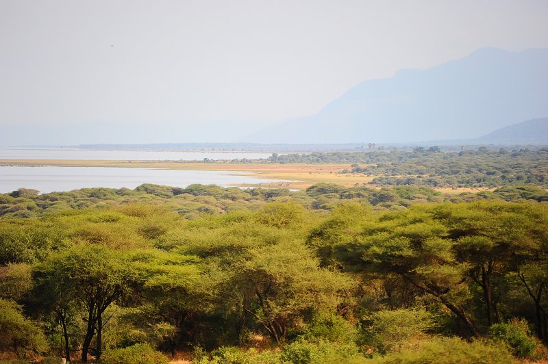  Manyara  NP