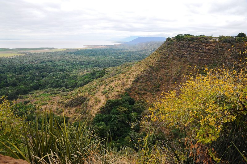 stand on Gregory Rift looking forward to Manyara lake