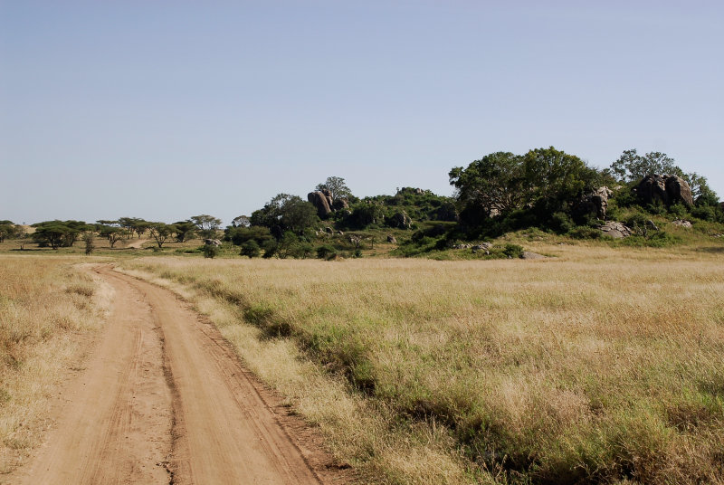 Serengeti