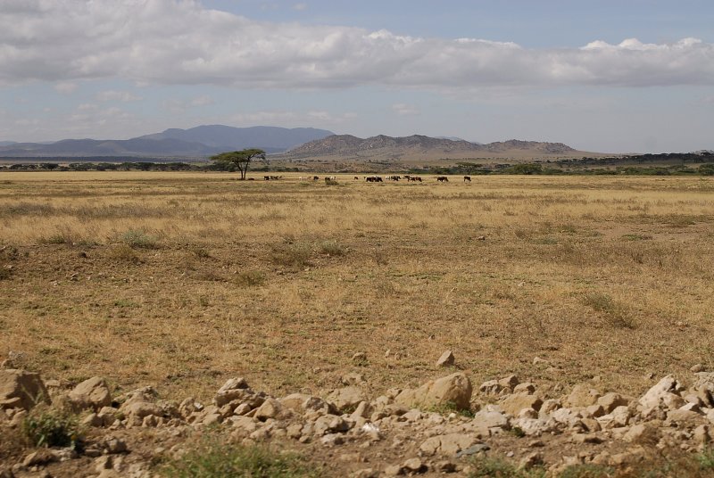 Leaving Serengeti