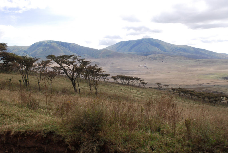 Scenery of highland of Ngorongoro