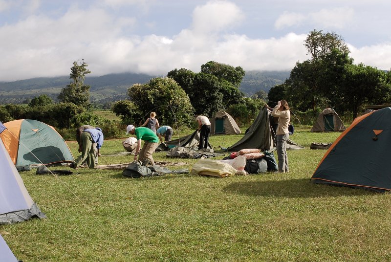 more people come to Simba campsite