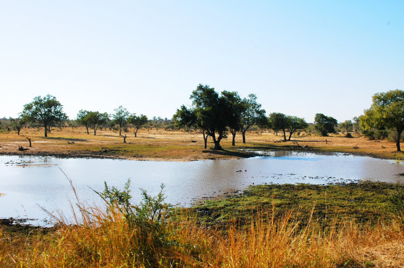 Near Skukuza campsite