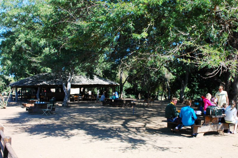 Skukuza campsite