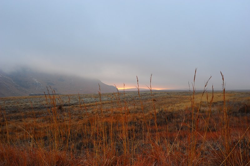 Blesbok loop