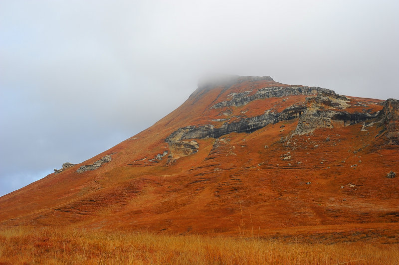 Blesbok loop