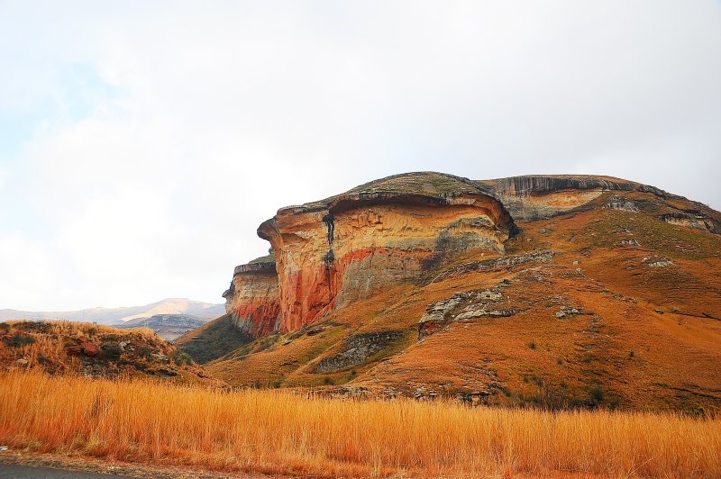 Oribi loop