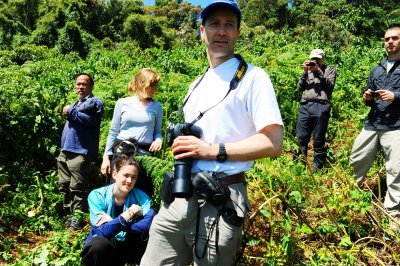 waiting for more gorilla to be found