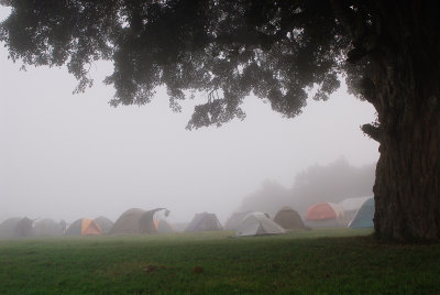 early morning at simba campsite 21/06
