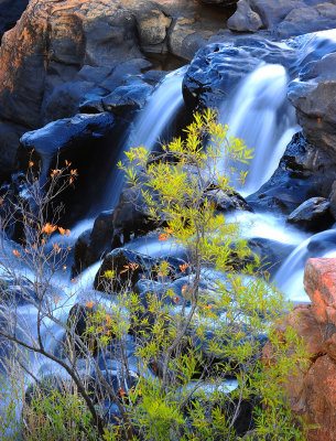 Bourke's Luck potholes