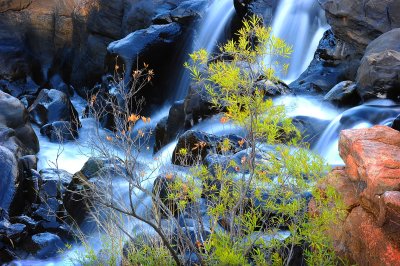 Bourke's Luck potholes