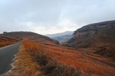 Blesbok loop early morning