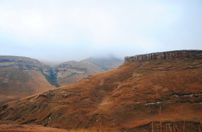 Blesbok loop