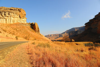 Main road on Golden gate highlands NP