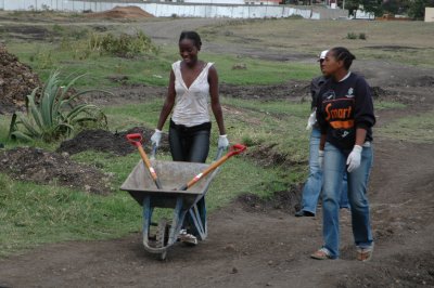 A new wheelbarrow to use