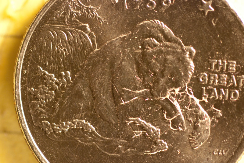 Alaska Quarter at 1:1