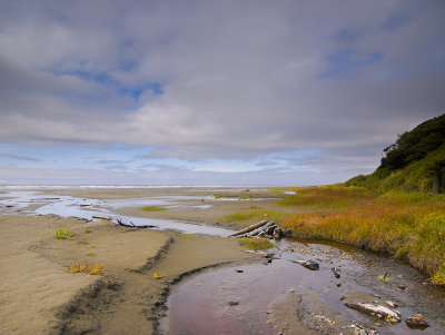 Copalis Beach Area