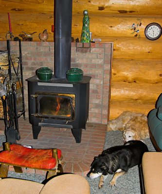 Fire place, doggies