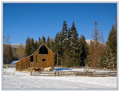 Horse Barn, Orin-Rice Rd.