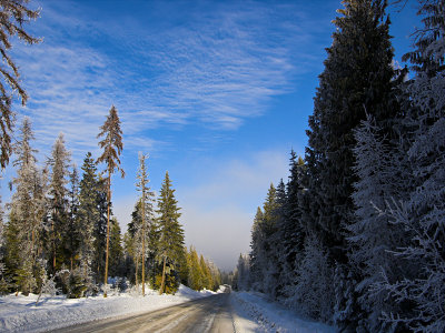 Above the clouds