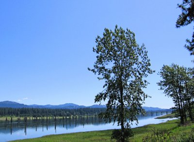 g1/17/514017/3/114605102.o9vtgSsO.jpg