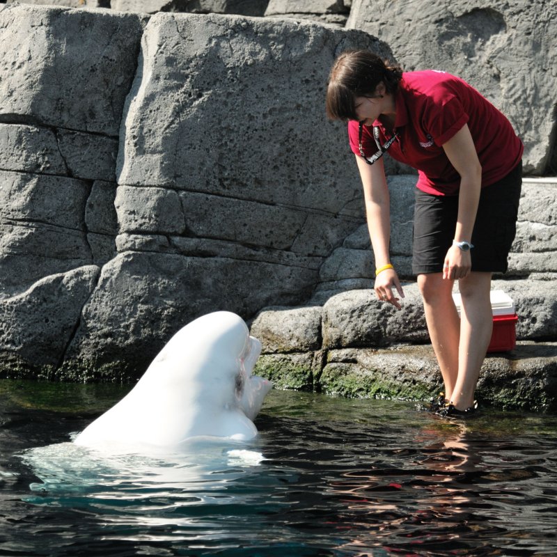 Vancouver-BC _20100818-058.jpg