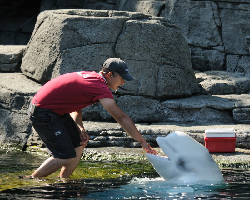 Vancouver-BC _20100818-066.jpg