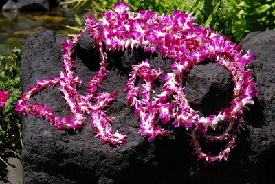 Kauai_2008-09-07_041.jpg