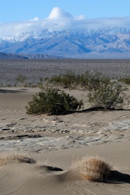 Death Valley II_02182009-075.jpg