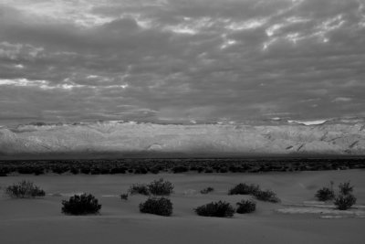 Death Valley II_02182009-013 bw.jpg