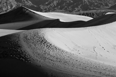 Death Valley II_02182009-053 bw.jpg