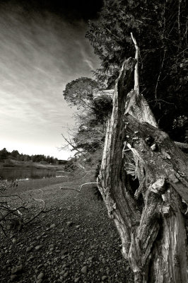 0219_0870mono-copy.jpg