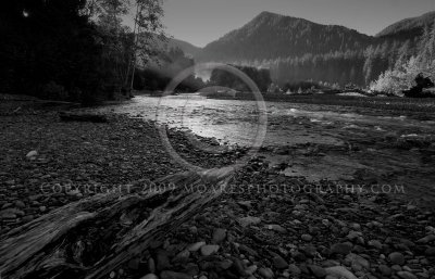 Hoh River Sunrise, Olympic Rain Forest