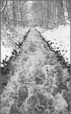 Snow 20
