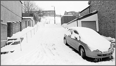 Snow 21