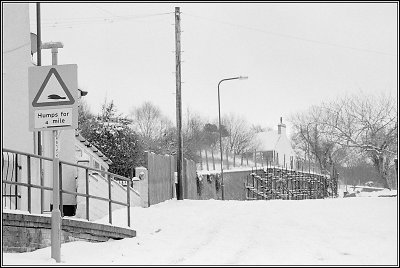 Snow 23