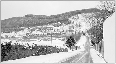 Snow 25