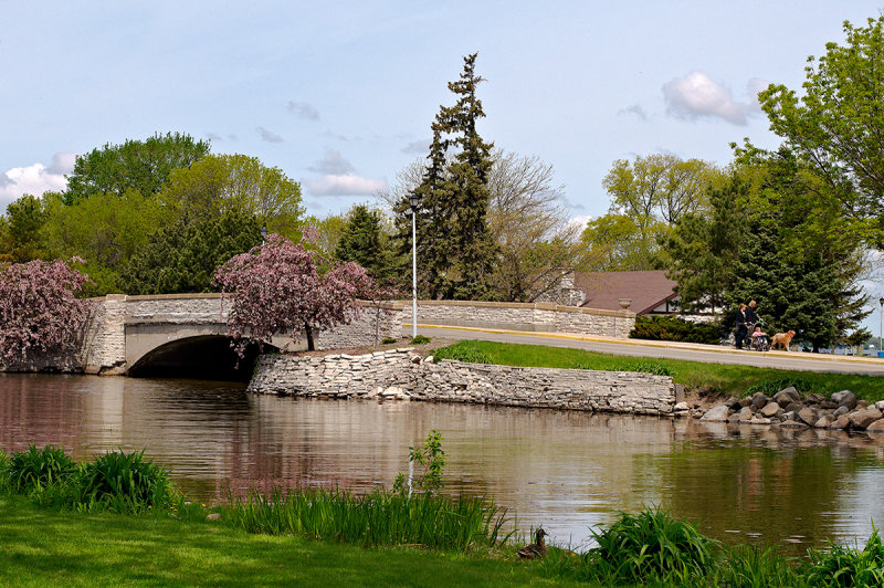 Walk in the park