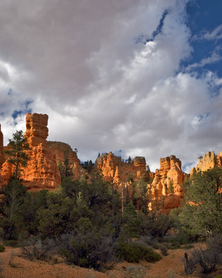 _The Red Canyon