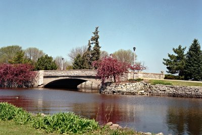 Bridge and Blossoms