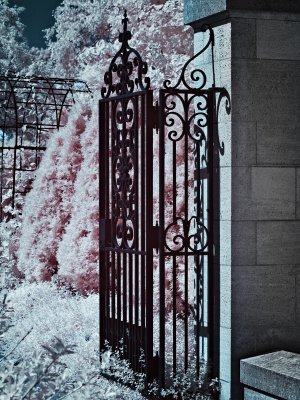 Gate - False Color Infrared Photography