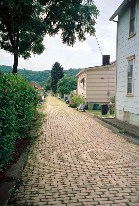 01_linden_pine_alley.JPG