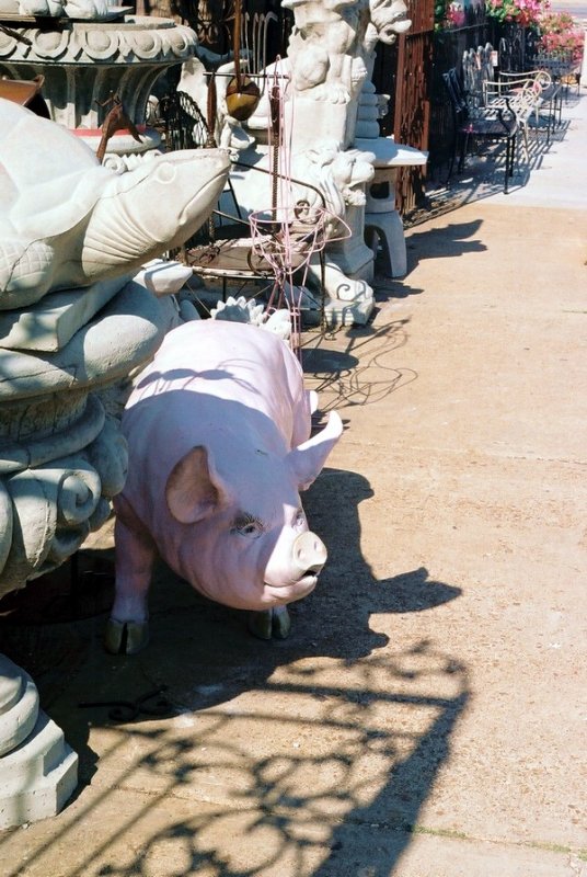 02_gringo_joes_pig_crop_a.JPG