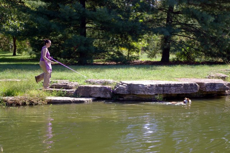 Forest_Park_3934.JPG