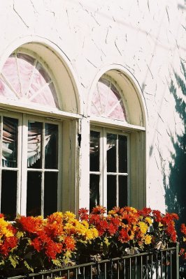 014A_teahouse_windows.JPG
