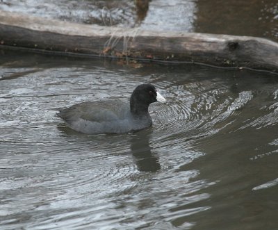 IMG_3509_2.jpg